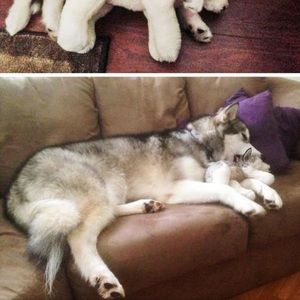 Meet your Posher, Tina